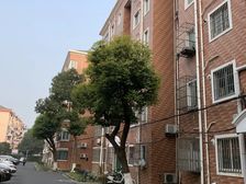 田图苑3室2厅南