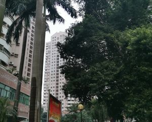 番禺鸿成花园3室2厅