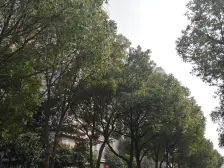 店长推荐!苏苑红领巾在,不靠路,采光充足,诚意出售