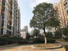 满五唯一位置佳、视野开阔、空气清新 、特别适合居家过日子