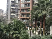 大坪 国宾豪庭二期幸福时光三房