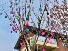 一梯两户,南北通透,房本满二,税费少,随时看房