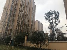 万达板块 雅居乐星河湾 毛坯好房 三开间朝南 房东诚心卖