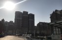 宝境檀香实景图