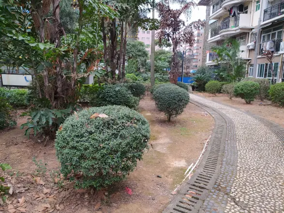 翠岭居实景图