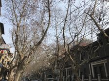 对口卢湾二中心向明中学朝南小户型