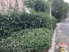 满五唯.一,4联排西边套,装修保养好,可以拎包入住