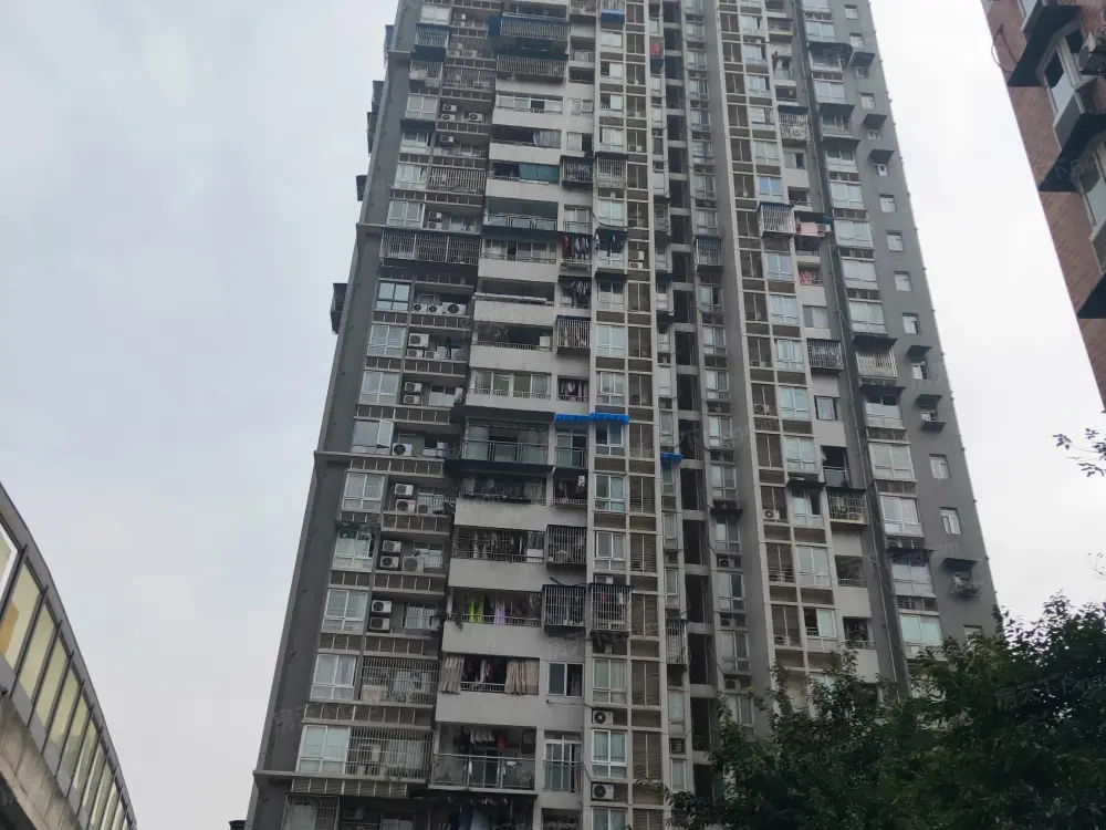 实景图