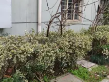 中环边 低总价 你值得一看!