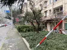 曲阳·蒋家桥路8-20号(双号)·1室·1厅