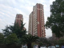 五楼复式楼 带露台 总价低 业主诚心出售