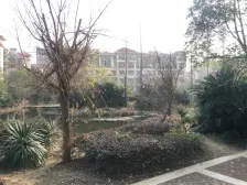 保集一期保集半岛 南北通透,采光好 视野好,诚心出售