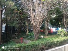 赤峰路525号2室1厅南