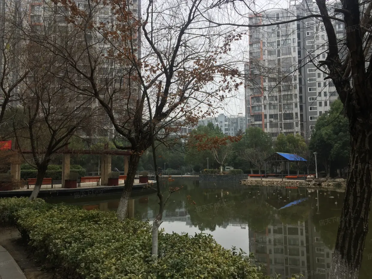 【合肥天目未来小区,二手房,租房 合肥房天下