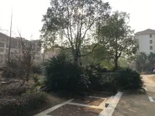 保集一期保集半岛 南北通透,采光好 装修好,环镜优美 周边匹套完善,,出行方便