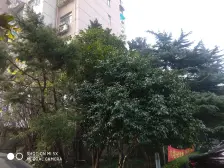 赤峰公寓2室西朝向399.00万元/套出售