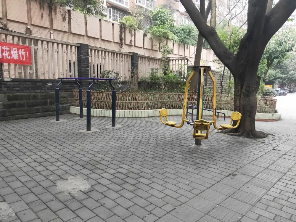 实景图