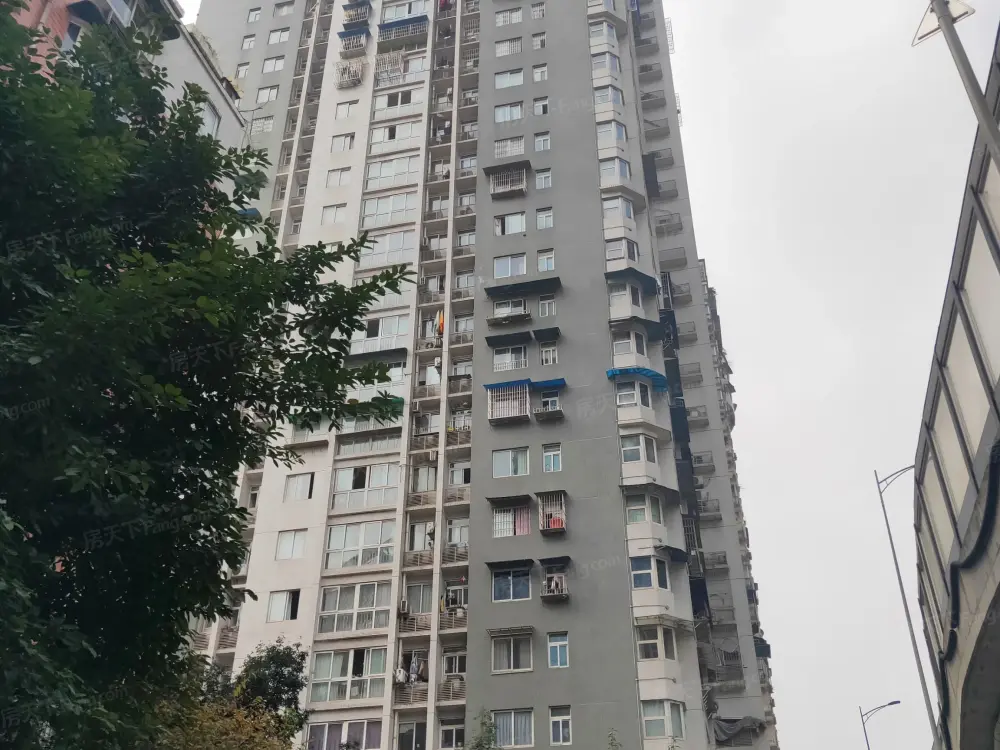 实景图