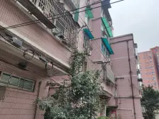 80万精装修,中间楼层采光不挡,看中可聊,急售中