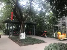 大石坝 出门商圈轻轨 清水一房 背靠鸿恩寺 离大门近