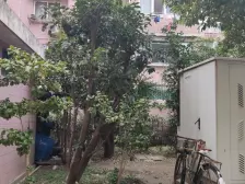 鞍山·飞虹公寓·3室·2厅