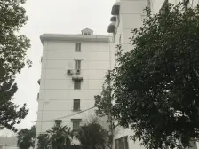 金虹桥·虹梅路2986弄·1室·1厅