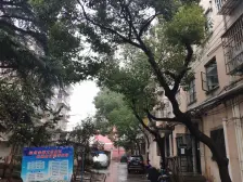 白洋淀小区1室南朝向250.00万元/套出售