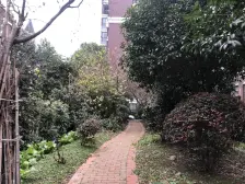 宝藏房顶楼带平顶阁楼总高八楼电梯洋房精装修领包入住