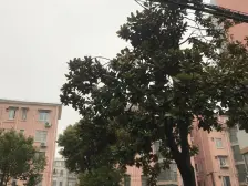 小区中心位置,交通便利,房型正气,配套完善