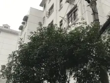 精装修,可以拎包入住,全明两室,阳光好,(O)税