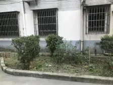 双花园 无违建 不靠马路