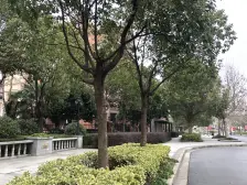 高品质小区+新加坡设计+不靠路+采光好+视野好+有电梯