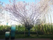 品质小区吾悦旁小三房 全天采光无遮挡