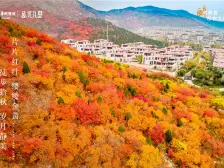 公元九里 3室2厅 南 北