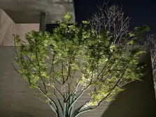 永威溪樾 4室1厅 东南