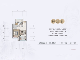 绿地·溪山境1室1厅1厨1卫建面50.97㎡