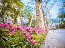 龙洲湾 阳光100阿尔勒一期三房125万