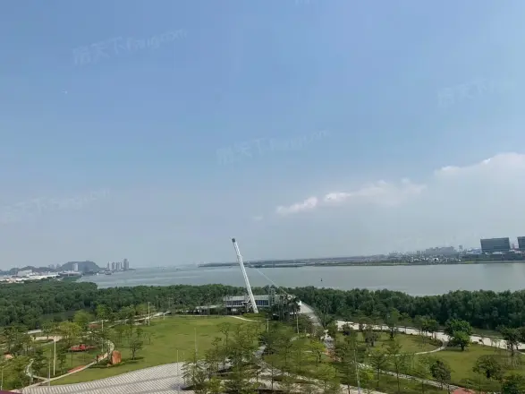 南沙金茂湾