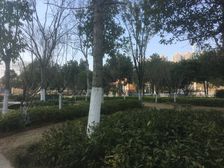 世景华庭2室1厅南