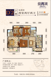 龙湾湖国际社区2室2厅1厨2卫建面100.00㎡