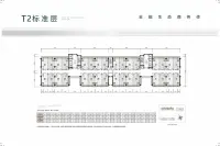 T2标准层户型图