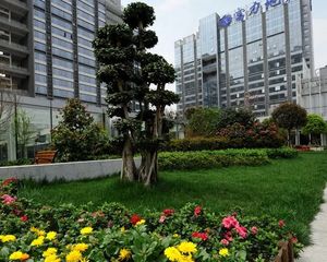 富力公馆4室2厅东东南