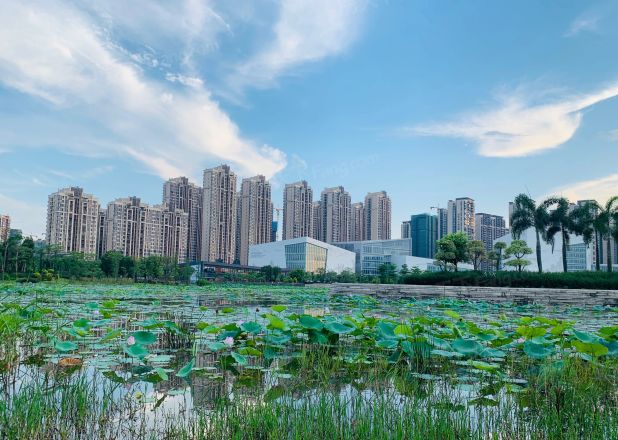【保利中央公园】| 佛山市三水区云东海街道南丰大道66号保利中韵花园