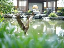 龙光天禧4室2厅南