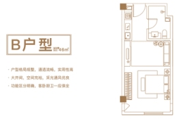 信华天街1室1厅1厨1卫建面46.00㎡