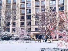 未来城市3室2厅南北