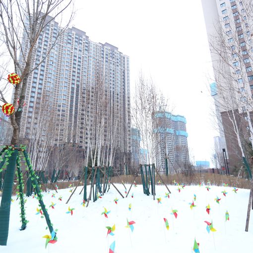  �������ڴ����ó�2��1��1���ϱ�����2000.00Ԫ/�³��� 