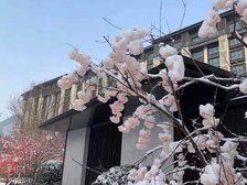 17号线精装两居室,适合一家三代人居住