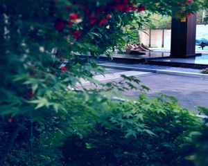 福星惠誉青城府 3室2厅 南 北