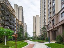 天悦龙栖台 3室1厅 东南